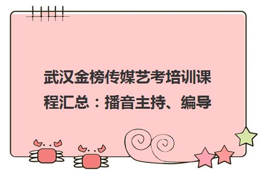 武汉金榜传媒艺考培训课程汇总 播音主持、编导、舞蹈专业介绍