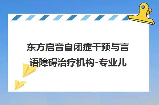 东方启音自闭症干预与言语障碍治疗机构-专业儿童康复训练