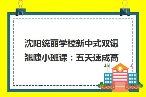 沈阳统丽学校新中式双镊翘睫小班课 五天速成高薪美睫技术 沈阳统丽学校新中式双镊翘睫小班课 五天速成高薪美睫技术