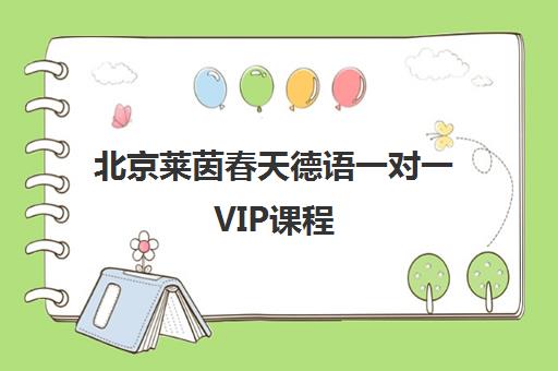 北京莱茵春天德语一对一VIP课程 定制你的德福高分之路