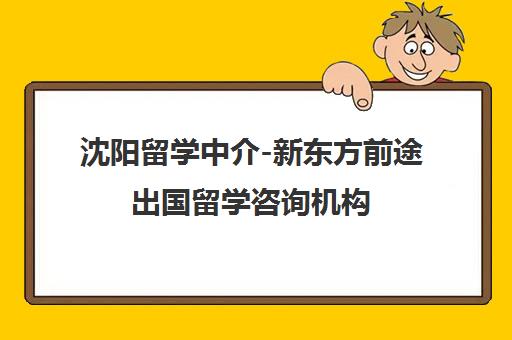 沈阳留学中介-新东方前途出国留学咨询机构