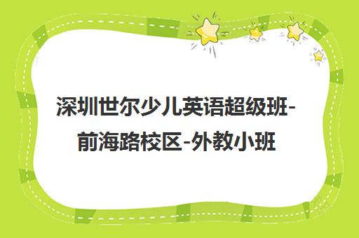 深圳世尔少儿英语超级班-前海路校区-外教小班