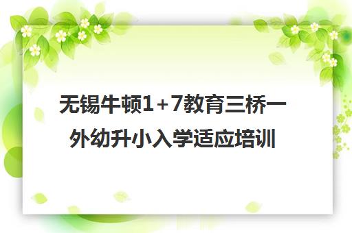 无锡牛顿1+7教育三桥一外幼升小入学适应培训课程特色介绍