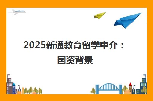 2025新通教育留学中介 国资背景 全球Top100录取率超93%
