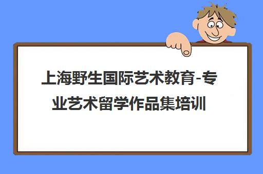 上海野生国际艺术教育-专业艺术留学作品集培训与申请辅导