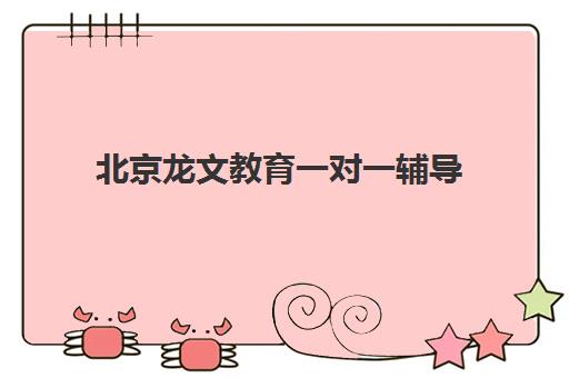 北京龙文教育一对一辅导 专业解决高中生偏科问题 北京龙文教育一对一辅导 专业解决高中生偏科问题