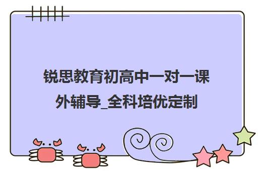 锐思教育初高中一对一课外辅导_全科培优定制 锐思教育初高中一对一课外辅导_全科培优定制