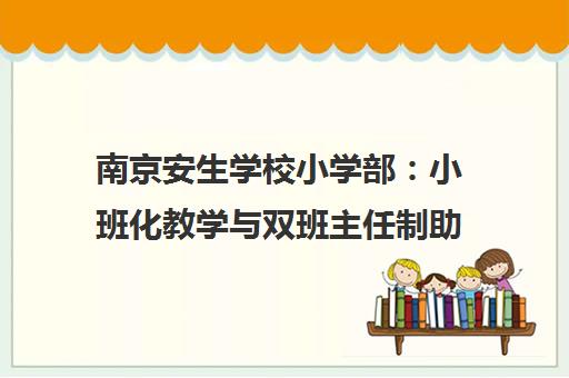 南京安生学校小学部 小班化教学与双班主任制助力成长