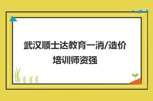 武汉顺士达教育一消/造价培训师资强,通过率高 武汉顺士达教育一消/造价培训师资强,通过率高