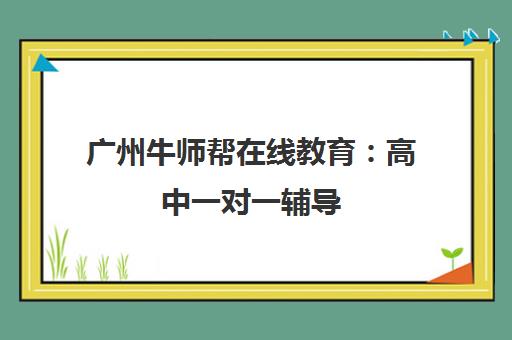 广州牛师帮在线教育 高中一对一辅导 师资强 量身定制学习方案