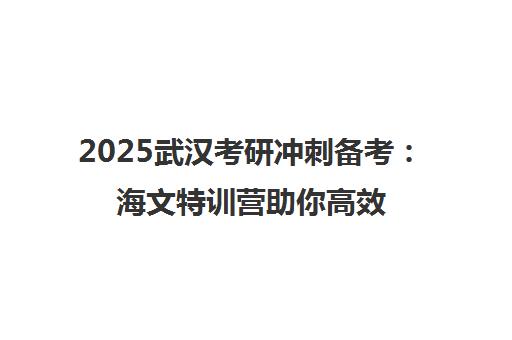 2025武汉考研冲刺备考 海文特训营助你高效提分抢先一步