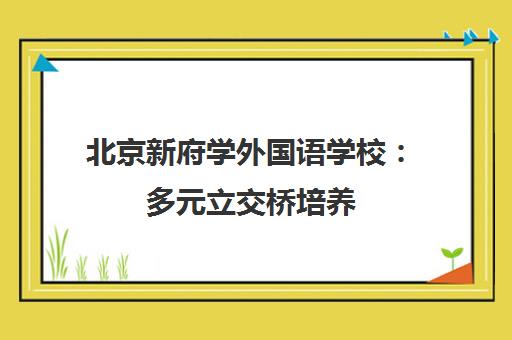 北京新府学外国语学校 多元立交桥培养 中西融合的国际课程体系