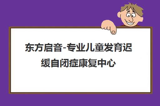 东方启音-专业儿童发育迟缓自闭症康复中心 提供个性化言语治疗训练