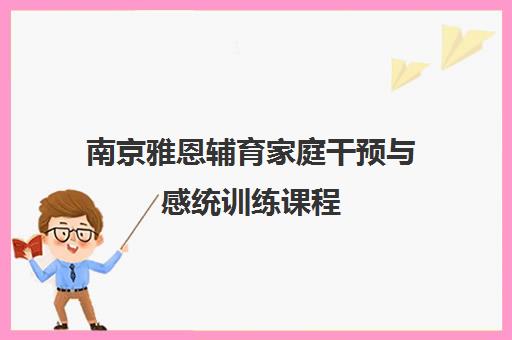 南京雅恩辅育家庭干预与感统训练课程