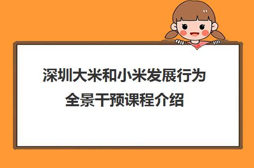 深圳大米和小米发展行为全景干预课程介绍