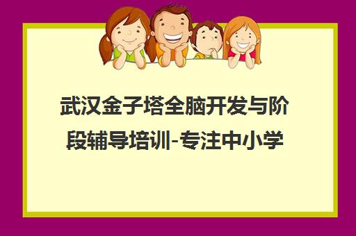 武汉金子塔全脑开发与阶段辅导培训-专注中小学生能力提升