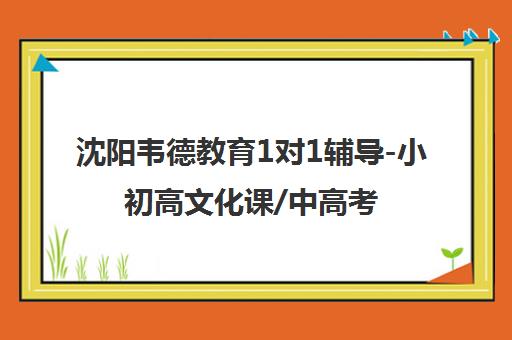 沈阳韦德教育1对1辅导-小初高文化课/中高考冲刺[选名校师资]