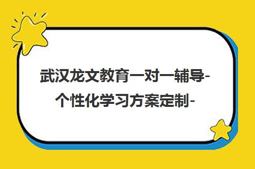 武汉龙文教育一对一辅导-个性化学习方案定制-中小学课外辅导