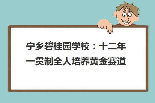 宁乡碧桂园学校 十二年一贯制全人培养黄金赛道
