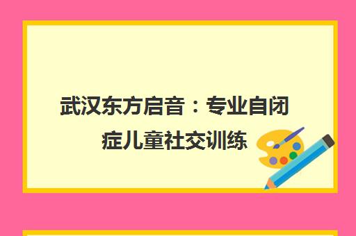 武汉东方启音 专业自闭症儿童社交训练 改善障碍提升交往能力 武汉东方启音 专业自闭症儿童社交训练 改善障碍提升交往能力
