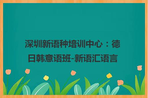 深圳新语种培训中心 德日韩意语班-新语汇语言课程费用与地址