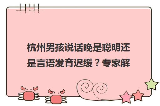 杭州男孩说话晚是聪明还是言语发育迟缓?专家解读