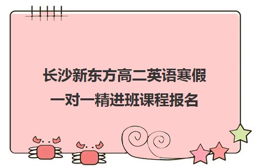 长沙新东方高二英语寒假一对一精进班课程报名