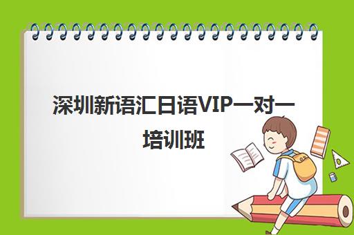 深圳新语汇日语VIP一对一培训班 量身定制直达留学就业