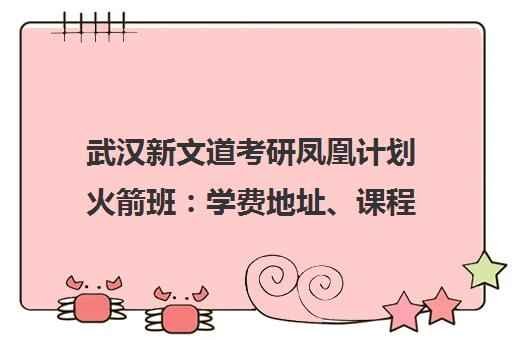 武汉新文道考研凤凰计划火箭班 学费地址、课程特色与学员点评
