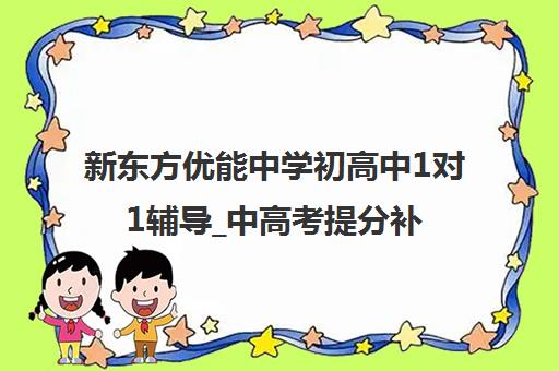 新东方优能中学初高中1对1辅导_中高考提分补习班_高端定制课程