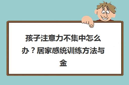 孩子注意力不集中怎么办?居家感统训练方法与金色雨林课程指南