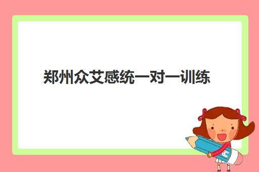 郑州众艾感统一对一训练 专业提升儿童专注力与感统能力