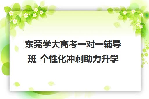 东莞学大高考一对一辅导班_个性化冲刺助力升学
