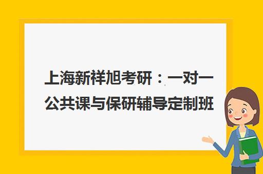 上海新祥旭考研 一对一公共课与保研辅导定制班(创业大厦校区)