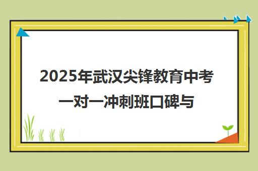 2025年武汉尖锋教育中考一对一冲刺班口碑与学员评价