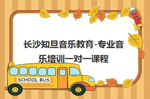 长沙知旦音乐教育-专业音乐培训一对一课程 快乐教学新体验 长沙知旦音乐教育-专业音乐培训一对一课程 快乐教学新体验