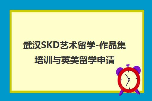武汉SKD艺术留学-作品集培训与英美留学申请一站式机构