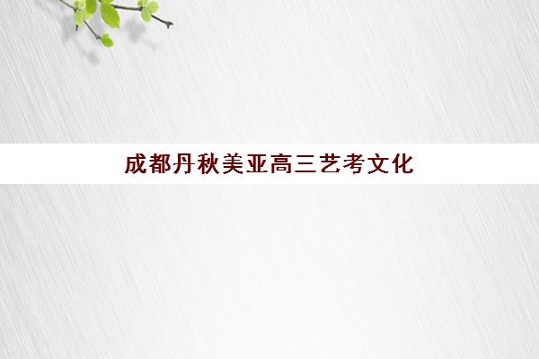 成都丹秋美亚高三艺考文化课补习学校价格多少钱，2025年收费明细与高性价比报读指南