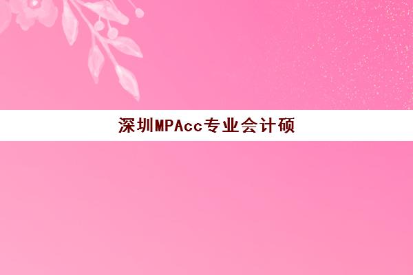 深圳MPAcc专业会计硕士备考课程机构成功率最高的是哪个？2025年十大权威机构综合评测与择校指南