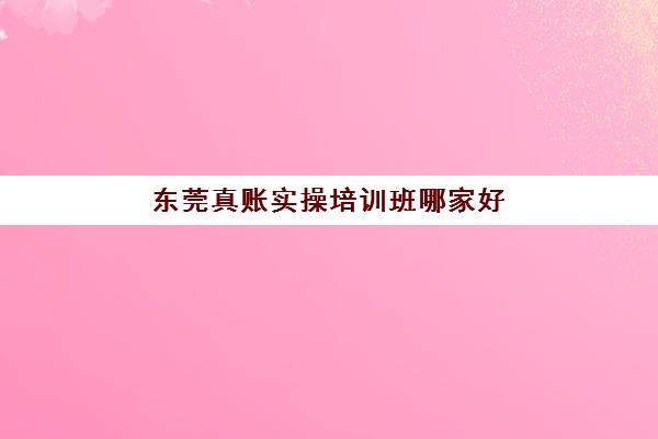 东莞真账实操培训班哪家好多少钱，2025年最新机构价格对比与择校指南