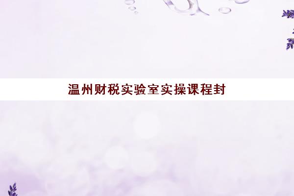 温州财税实验室实操课程封闭式集训营怎么样啊，2025年课程体系与教学效果深度解析