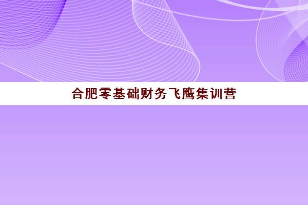 合肥零基础财务飞鹰集训营多少钱？2025年学费解析与择班指南