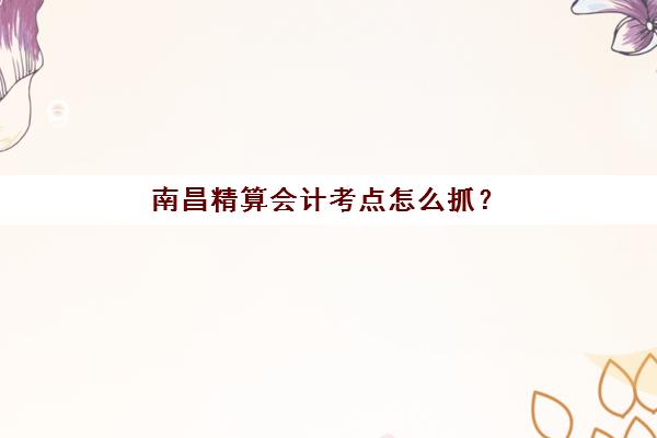 南昌精算会计考点怎么抓？2025年经典课程高频考点分布与备考策略全解析