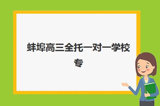 蚌埠高三全托一对一学校专项机构竞争力排行如何评估？2025年权威排名解析与择校实用指南