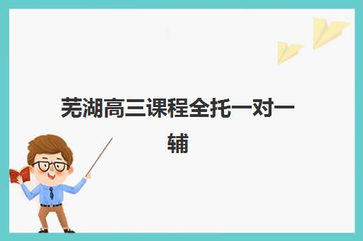 芜湖高三课程全托一对一辅导机构哪家强一点？2025年最新排名、择校指南与成功案例解析