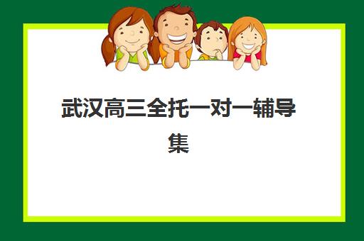武汉高三全托一对一辅导集中训练营有哪些学校：2025年学大、京誉、博大等十大机构深度解析