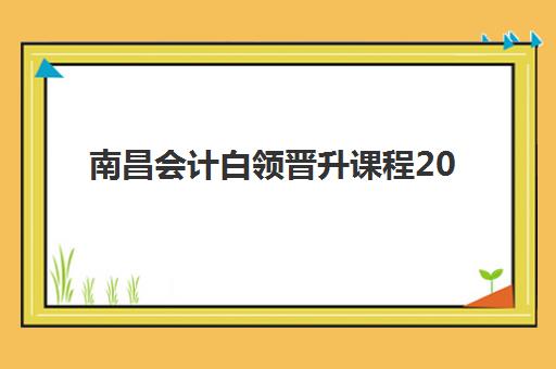 南昌会计白领晋升课程2025报名情况如何？最新数据解析与市场趋势