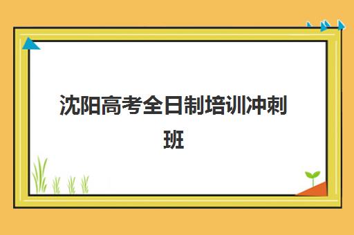 沈阳高考全日制培训冲刺班机构排行榜前十名如何查询？2025年最新权威榜单、各校特色解析与择校成功指南