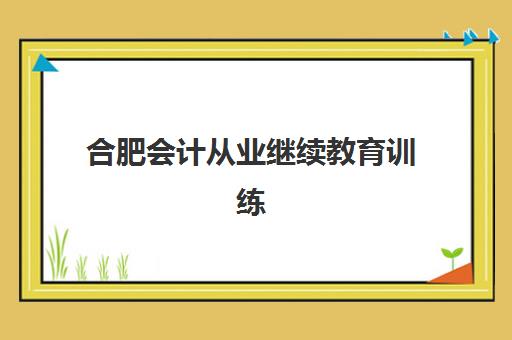 合肥会计从业继续教育训练营全攻略：2025年面授机构名单与年检课程选择指南