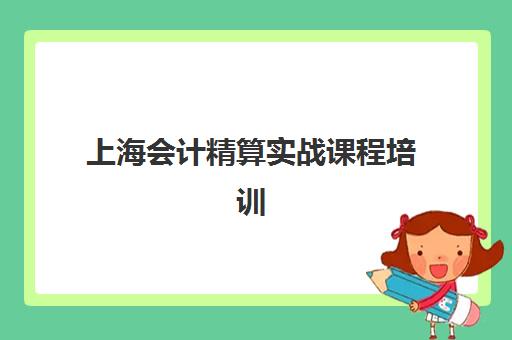 上海会计精算实战课程培训机构哪个好一点？2025年最新评测与选择指南